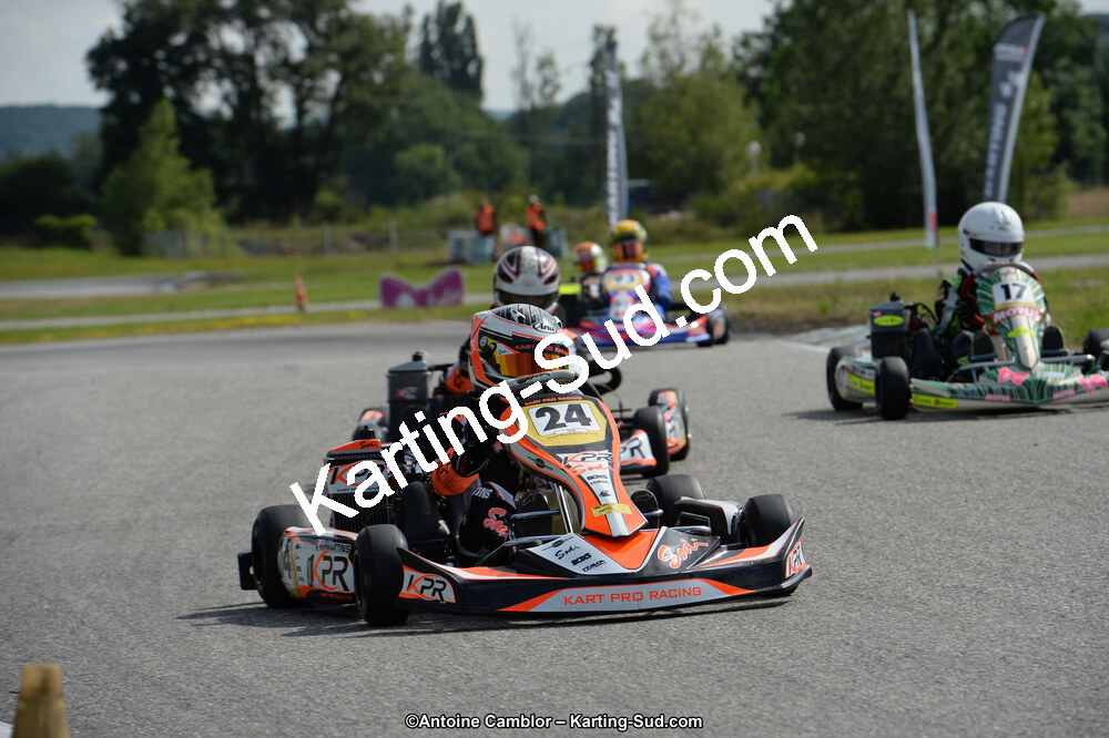 DSC_7462.jpg