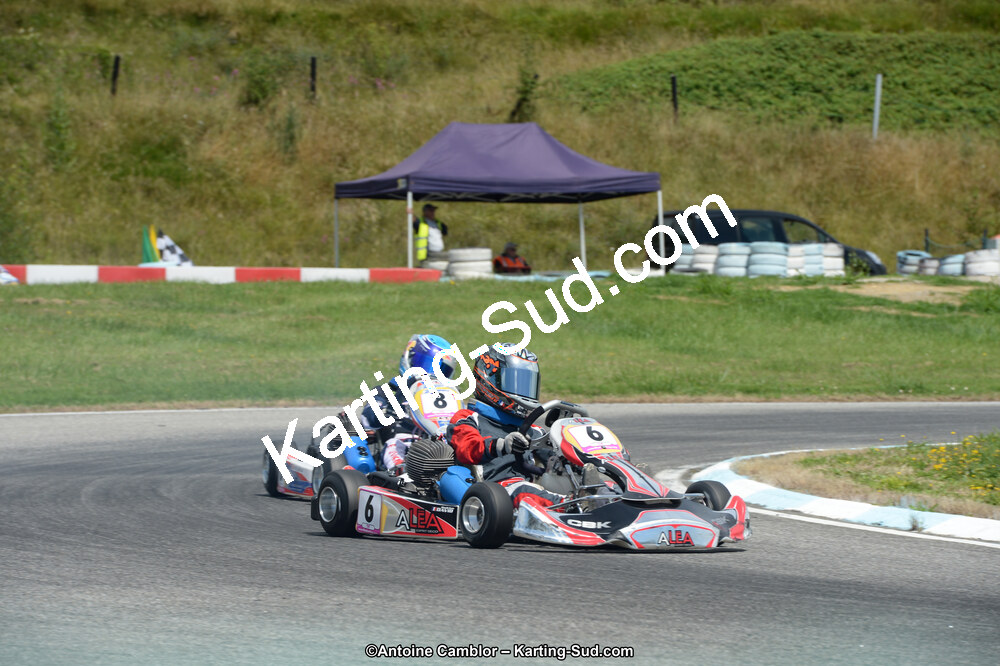 DSC_7992.jpg