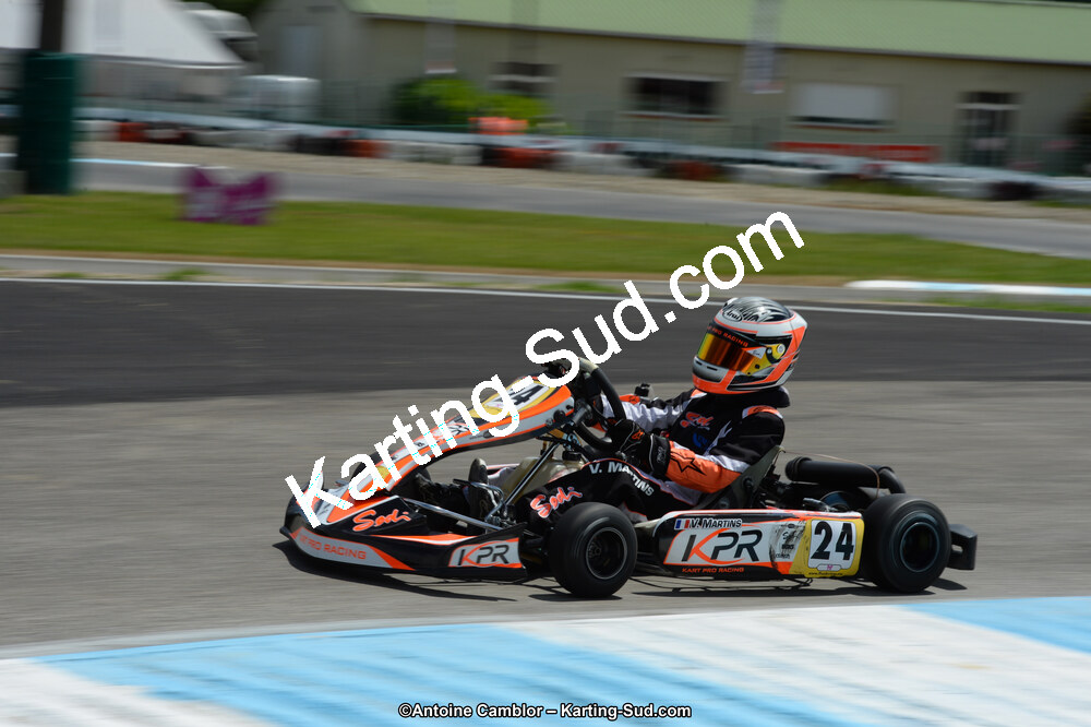 DSC_8585.jpg