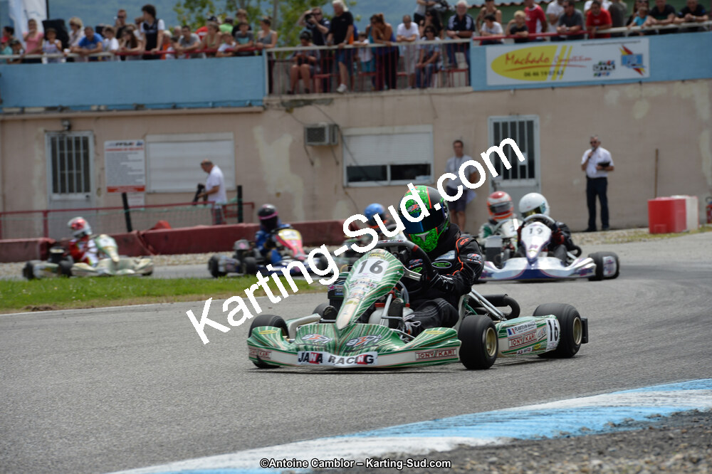 DSC_8656.jpg