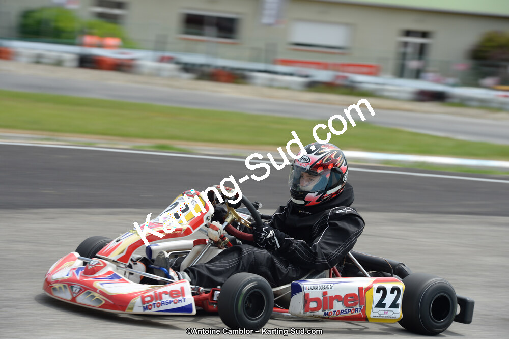 DSC_8677.jpg