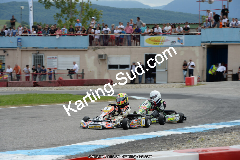 DSC_9134.jpg
