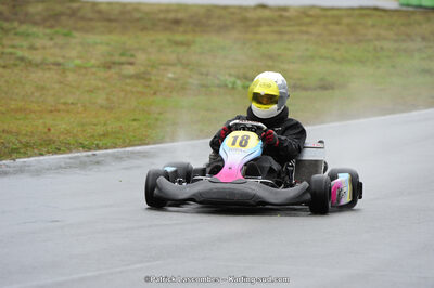 09/11/2014 : Endurance 2 temps à Layrac (Photos Patrick Lascombes) 2014 — karting