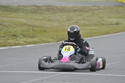 09/11/2014 : Endurance 2 temps à Layrac (Photos Patrick Lascombes) 2014 — karting