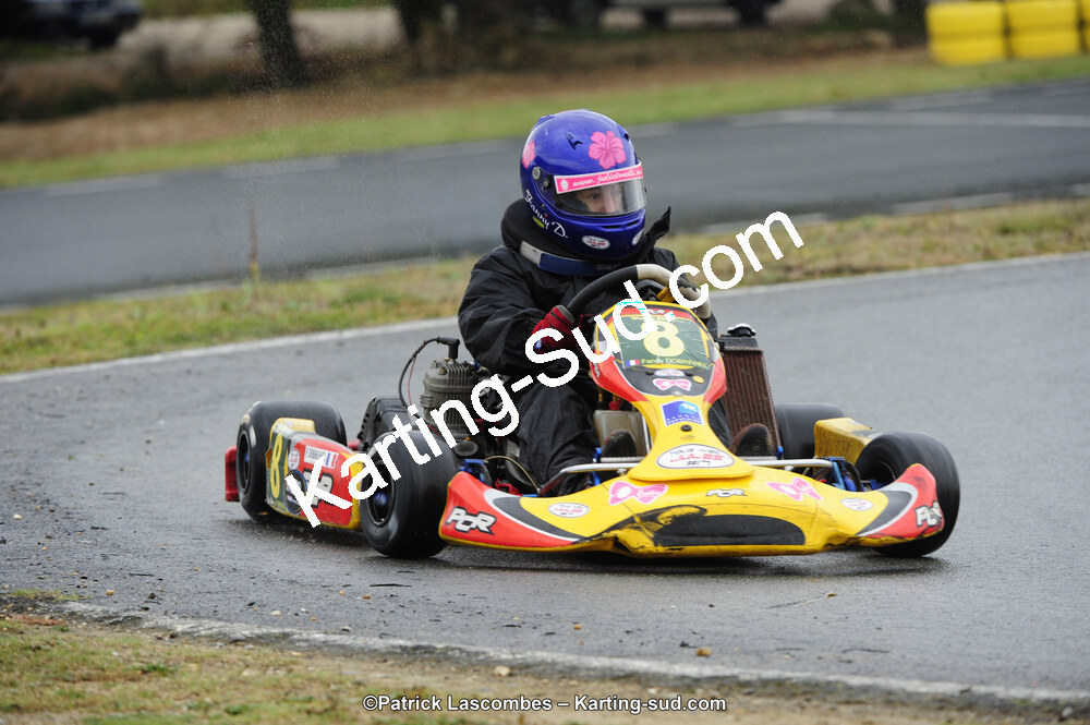 09/11/2014 : Endurance 2 temps à Layrac (Photos Patrick Lascombes) 2014 — karting