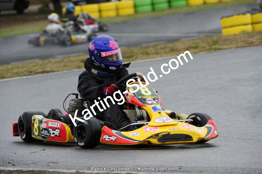 09/11/2014 : Endurance 2 temps à Layrac (Photos Patrick Lascombes) 2014 — karting
