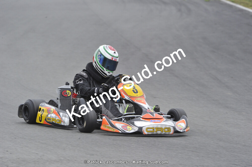 09/11/2014 : Endurance 2 temps à Layrac (Photos Patrick Lascombes) 2014 — karting