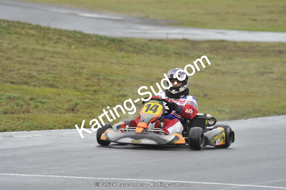09/11/2014 : Endurance 2 temps à Layrac (Photos Patrick Lascombes) 2014 — karting