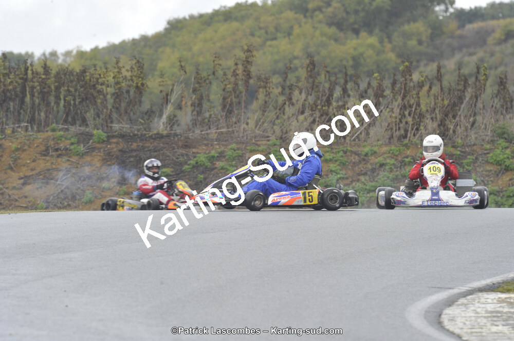09/11/2014 : Endurance 2 temps à Layrac (Photos Patrick Lascombes) 2014 — karting