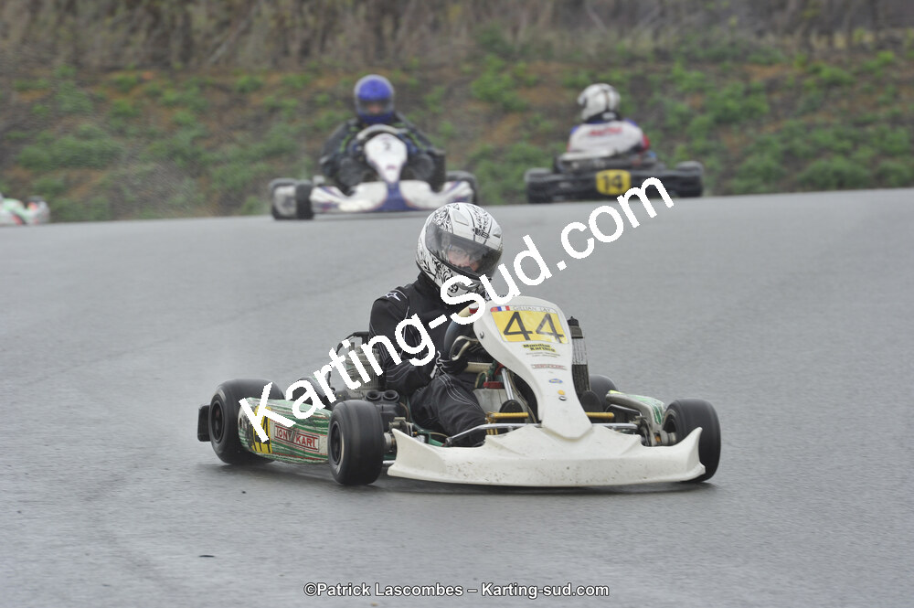 09/11/2014 : Endurance 2 temps à Layrac (Photos Patrick Lascombes) 2014 — karting