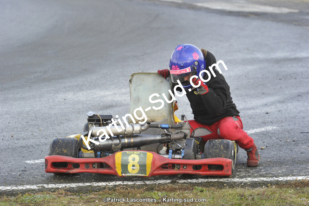 09/11/2014 : Endurance 2 temps à Layrac (Photos Patrick Lascombes) 2014 — karting