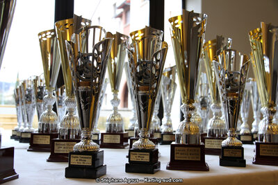 10/01/2015 : Remise des prix du Championnat du Sud 2014 à Saint-Affrique (Photos Stéphane Agnus) 2015 — karting