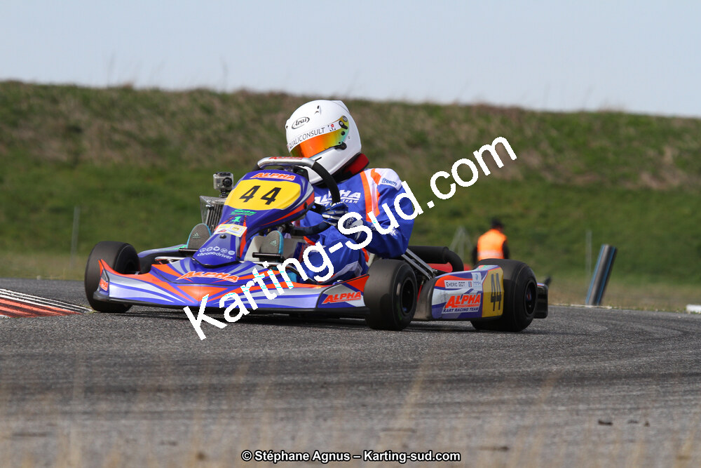 IMG_4568.JPG