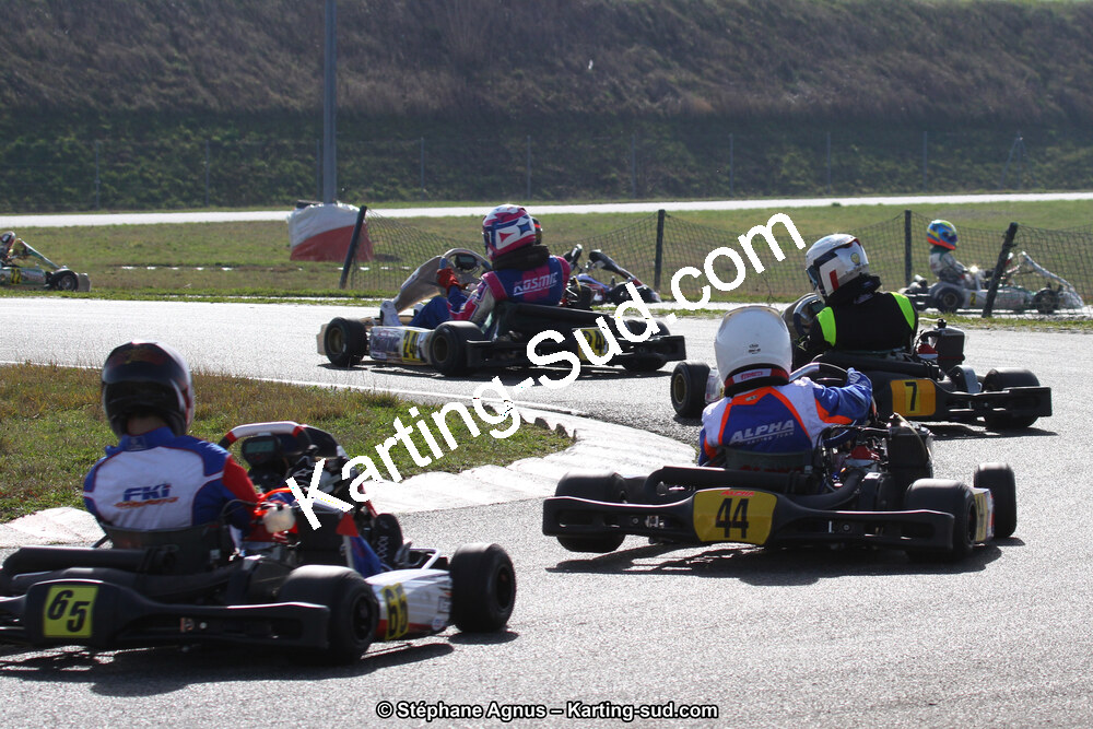 IMG_6595.JPG