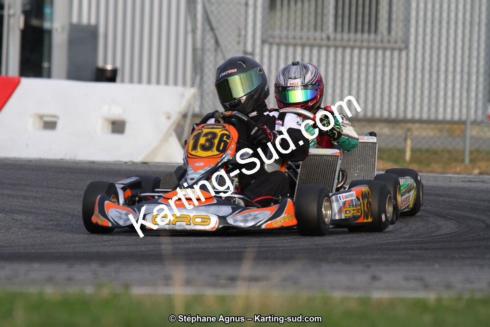 IMG_8390.JPG