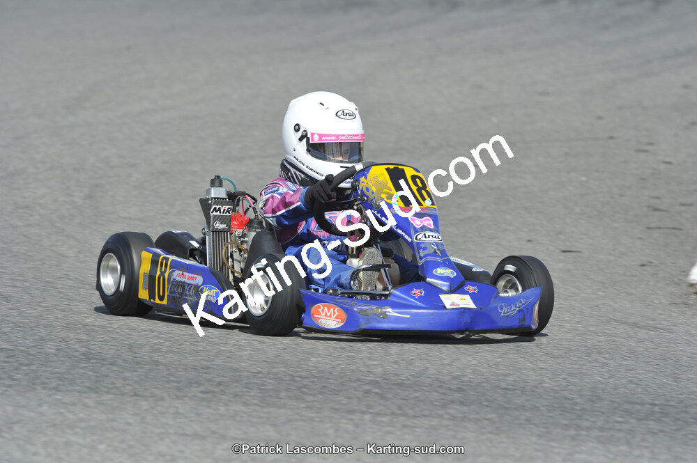 08/03/2015 : 1ère manche du Championnat du Sud à Muret (Photos Patrick Lascombes) 2015 — karting
