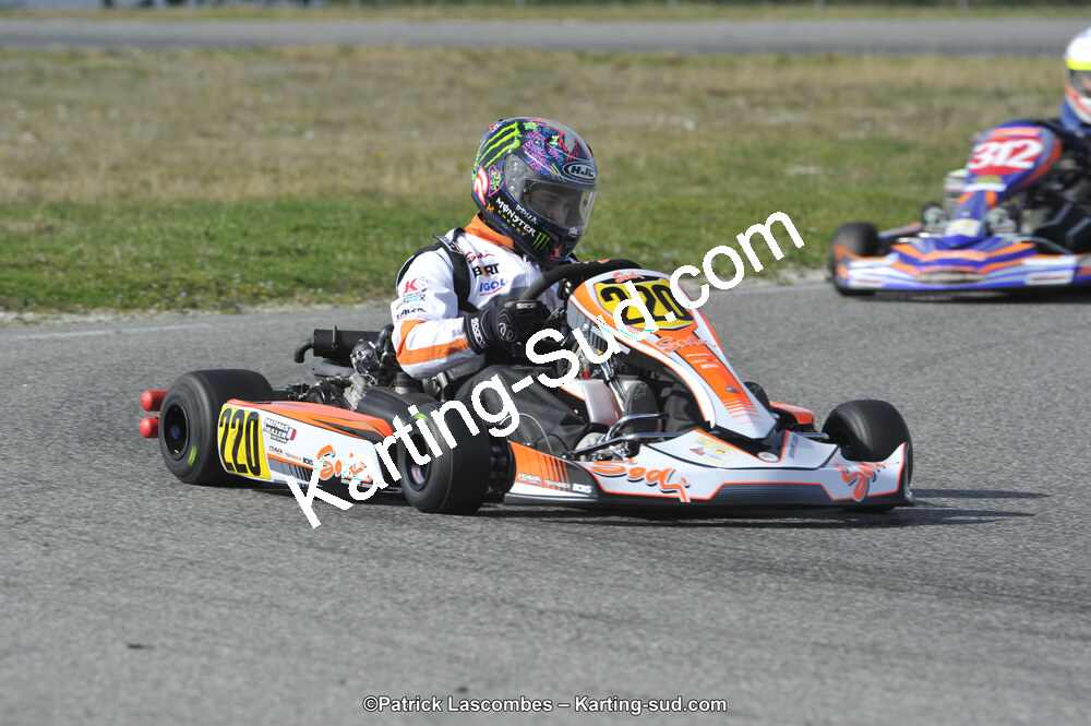 _DSC9695.JPG