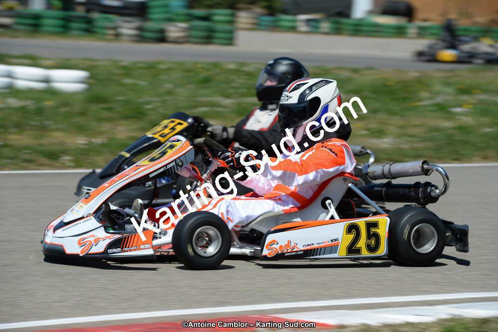DSC_0252.jpg