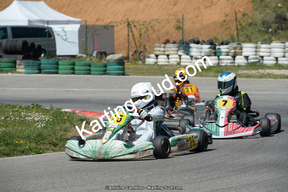 DSC_0339.jpg