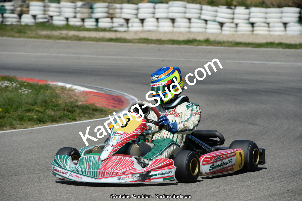DSC_0393.jpg