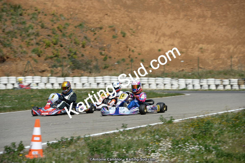 DSC_0461.jpg