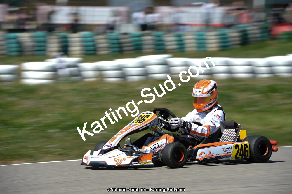 DSC_0659.jpg