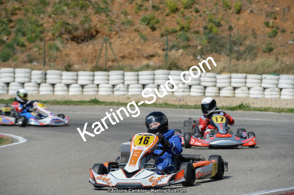 DSC_0800.jpg