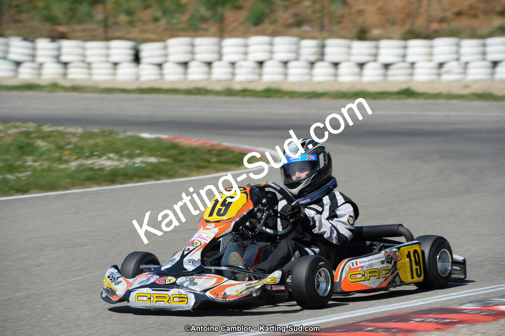 DSC_0803.jpg