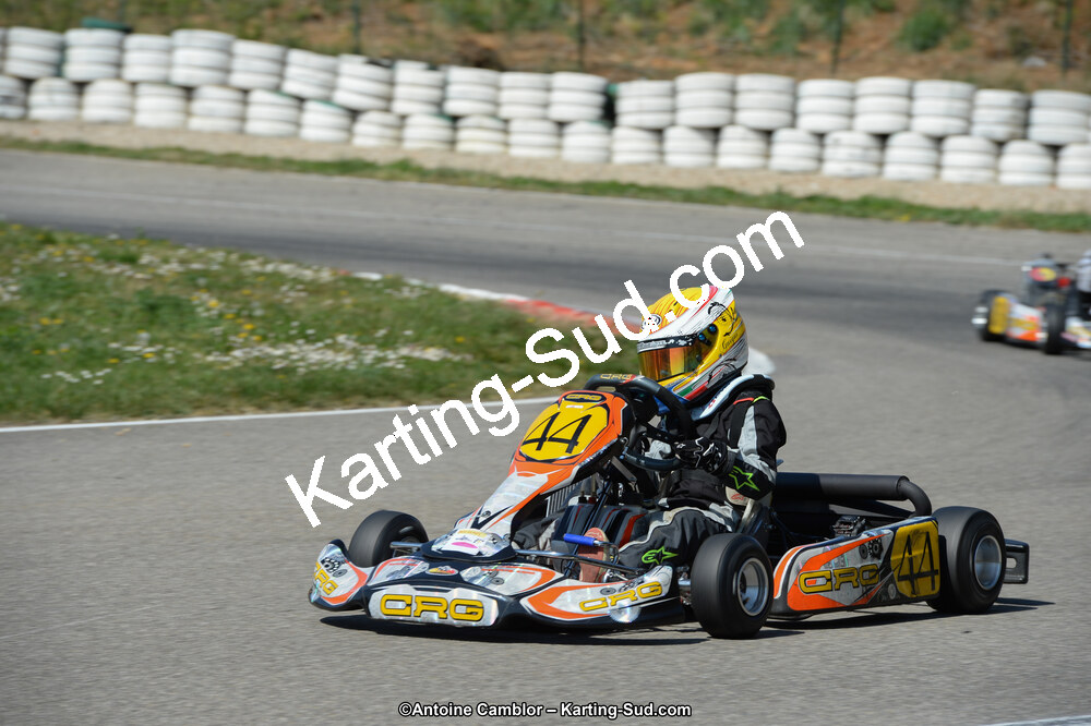 DSC_0812.jpg