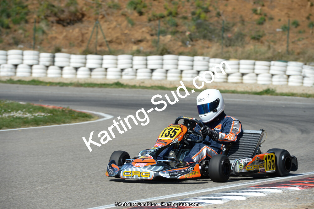 12/04/2015 : 2ème manche du Championnat du Sud à Alès (Photos Antoine Camblor) 2015 — karting