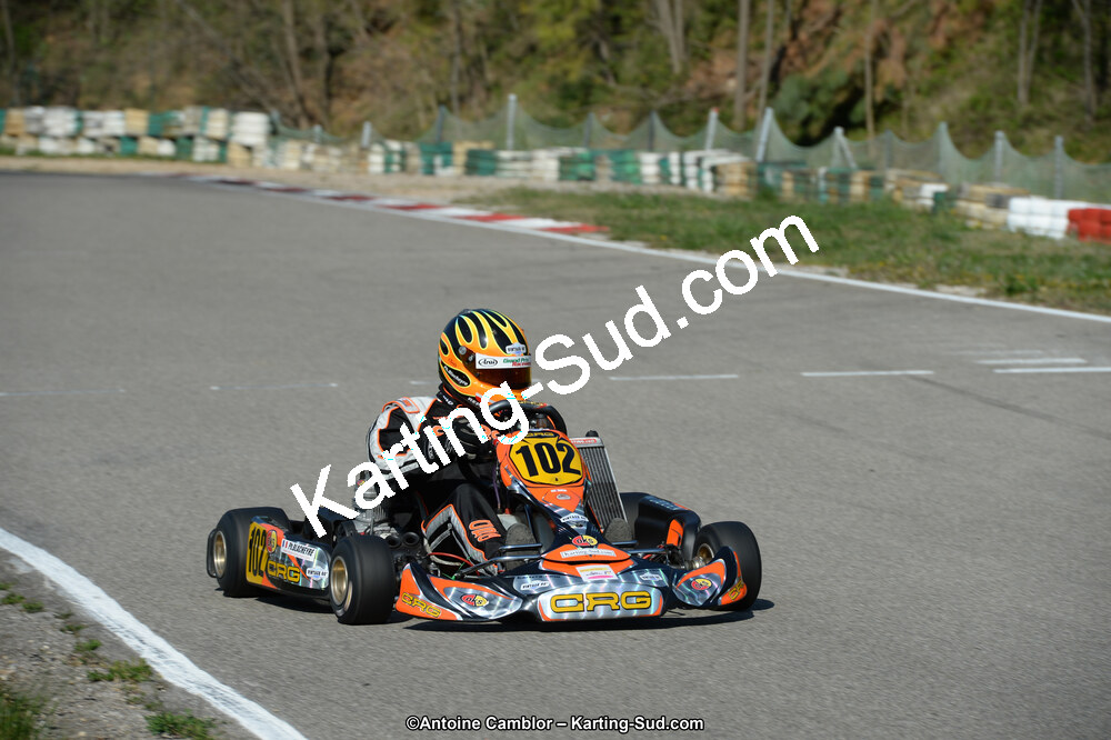 DSC_1290.jpg