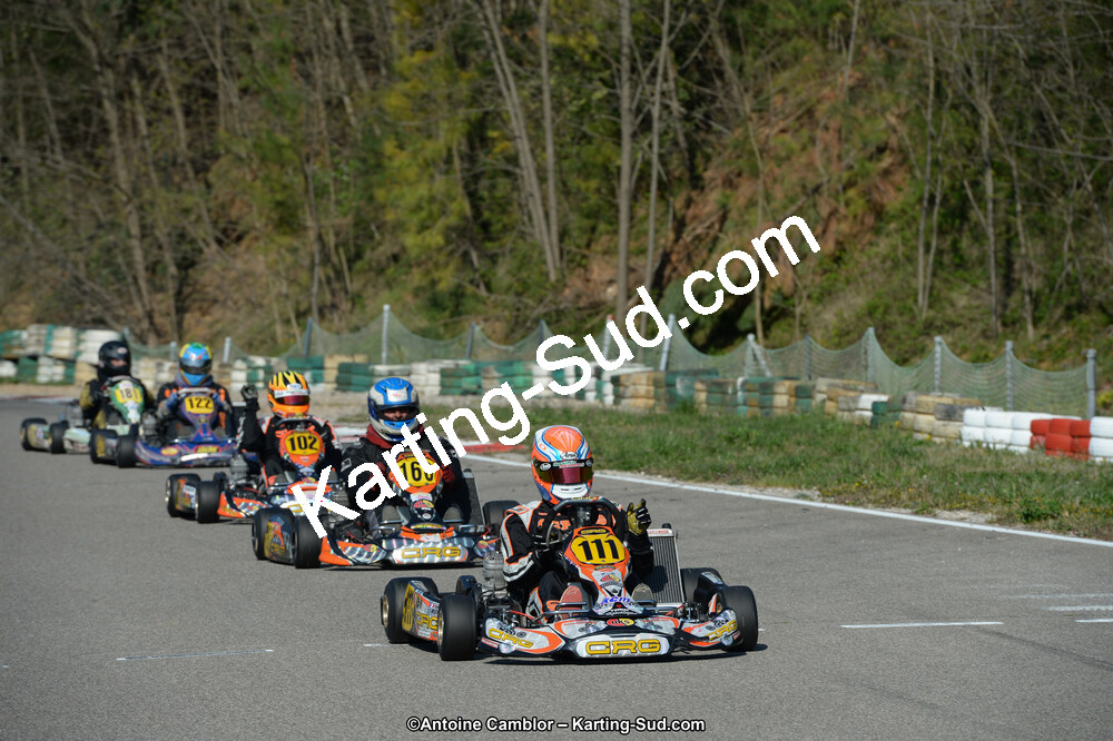 DSC_1305.jpg