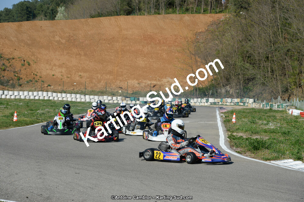 DSC_1343.jpg