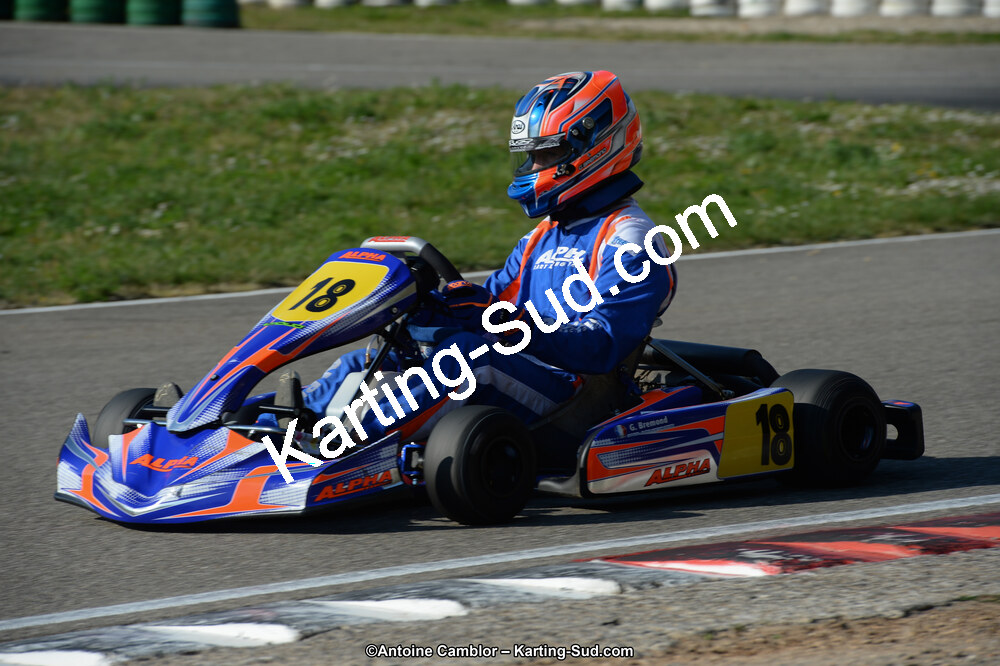 DSC_1534.jpg