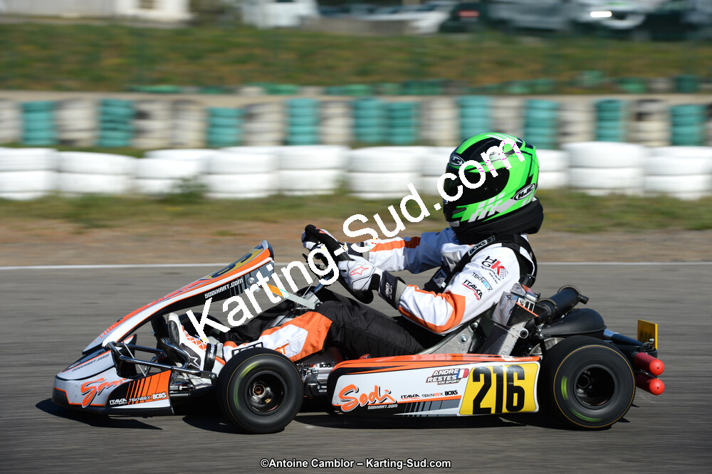 DSC_6372.jpg