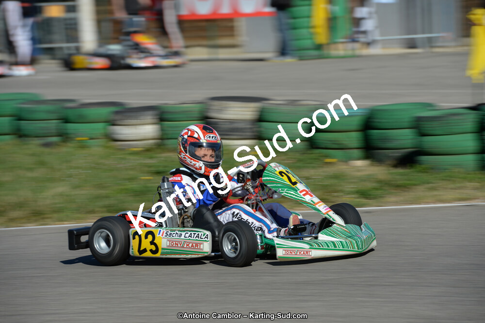 DSC_6401.jpg