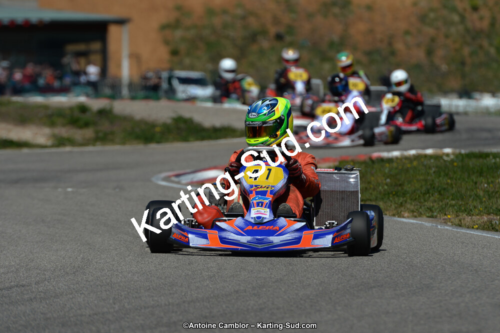 DSC_7223.jpg