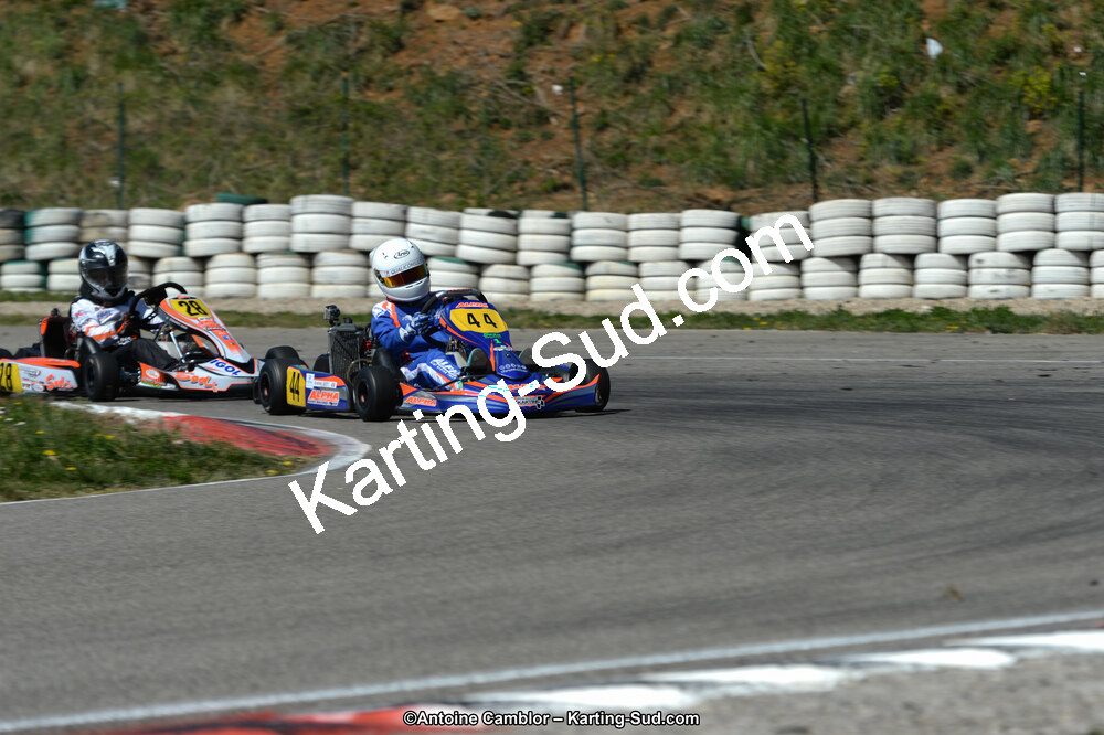 DSC_7530.jpg