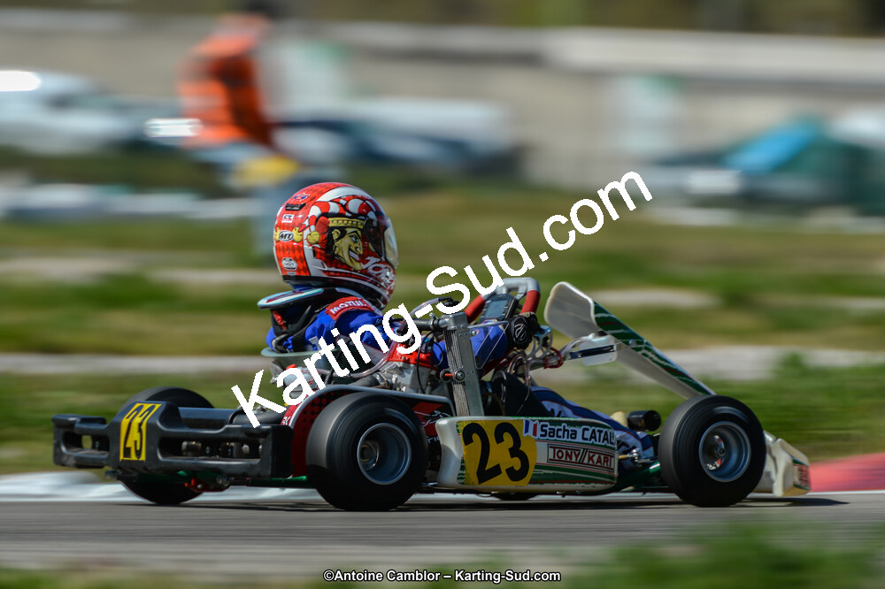 DSC_7729.jpg