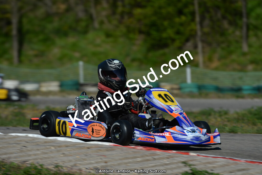 DSC_7782.jpg
