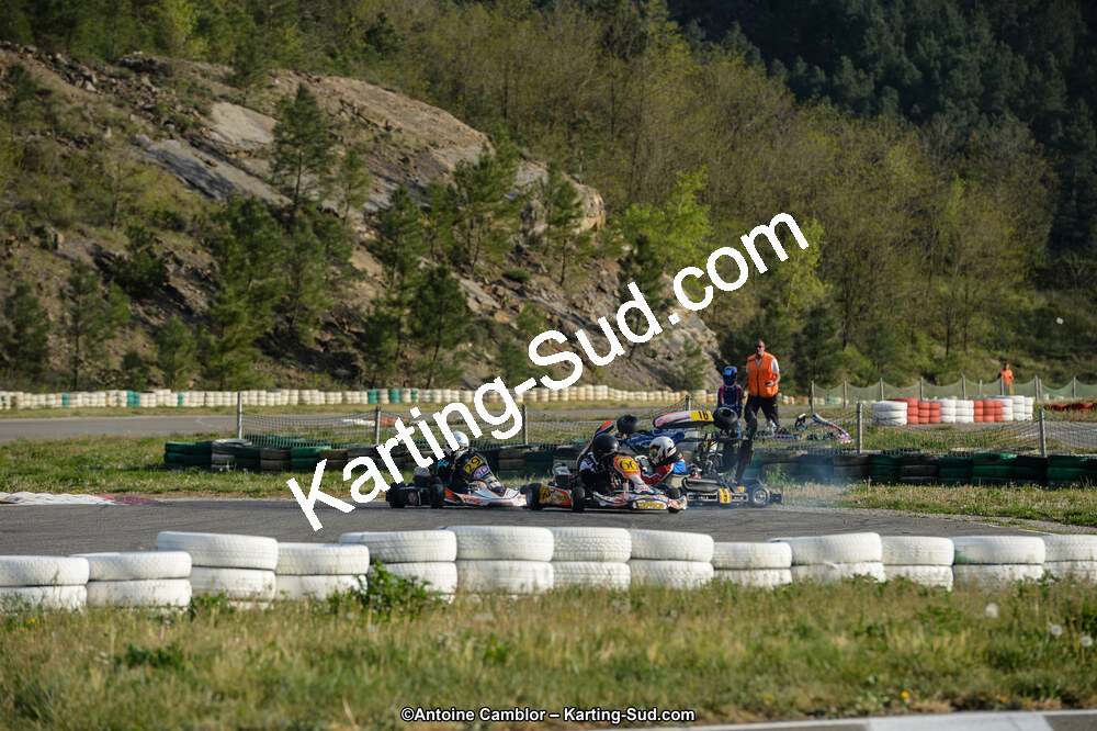 DSC_8242.jpg