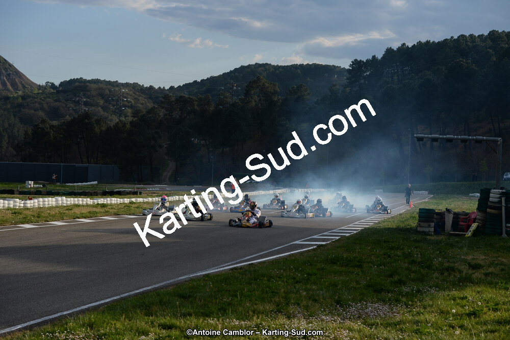 DSC_8305.jpg