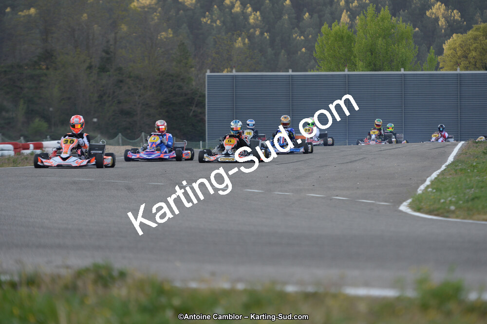 DSC_8564.jpg