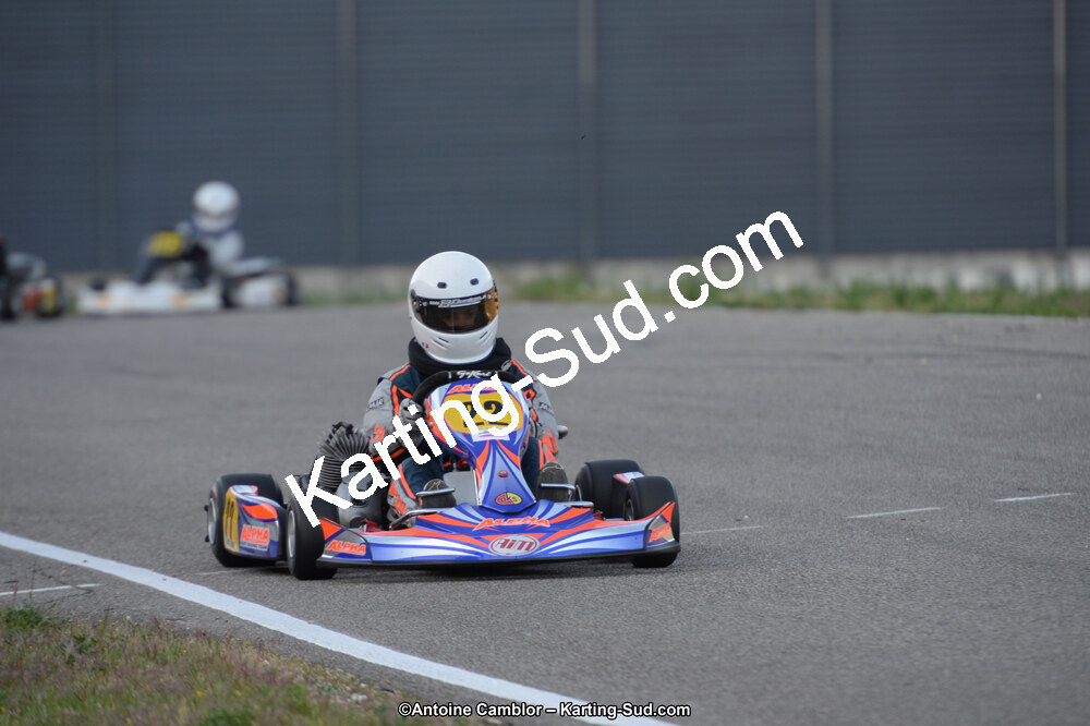 DSC_8781.jpg