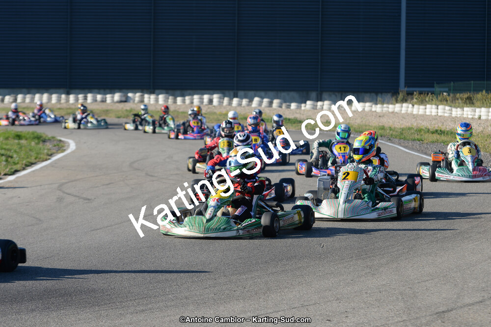 DSC_8988.jpg