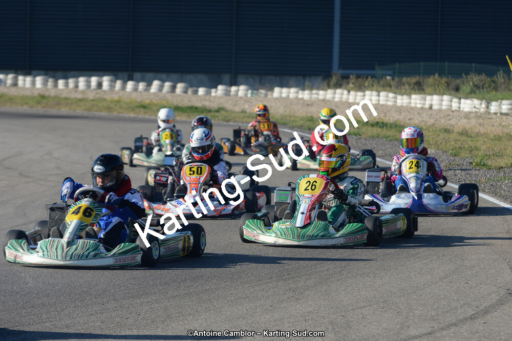 DSC_8993.jpg