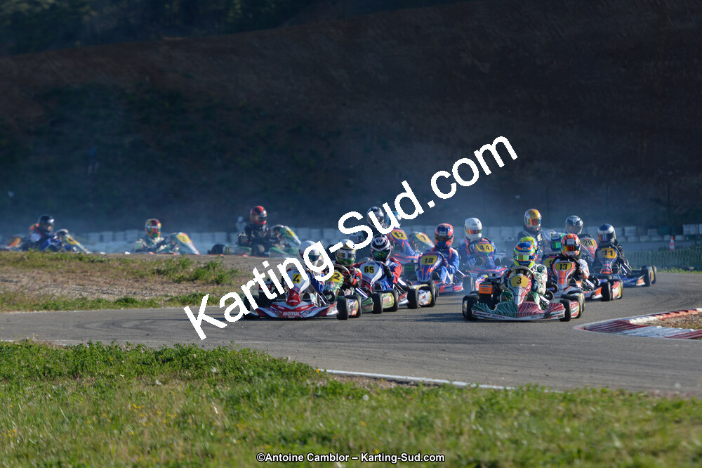 DSC_8995.jpg