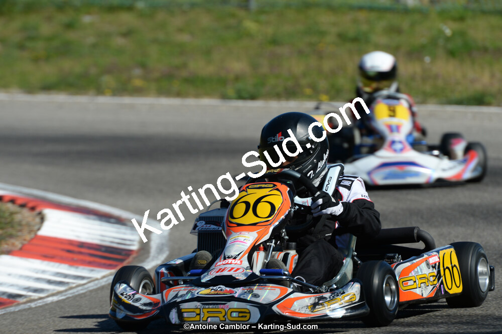 DSC_9543.jpg