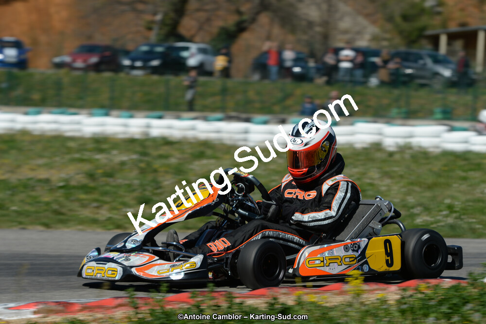 DSC_9917.jpg