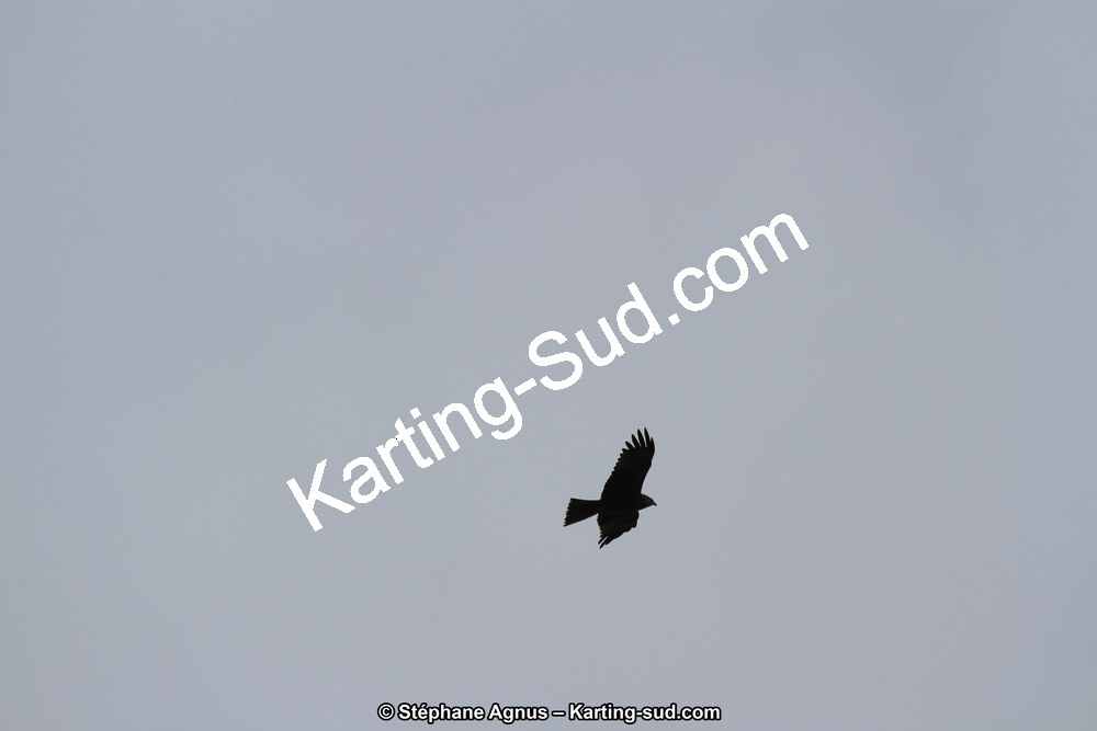 IMG_6993.JPG